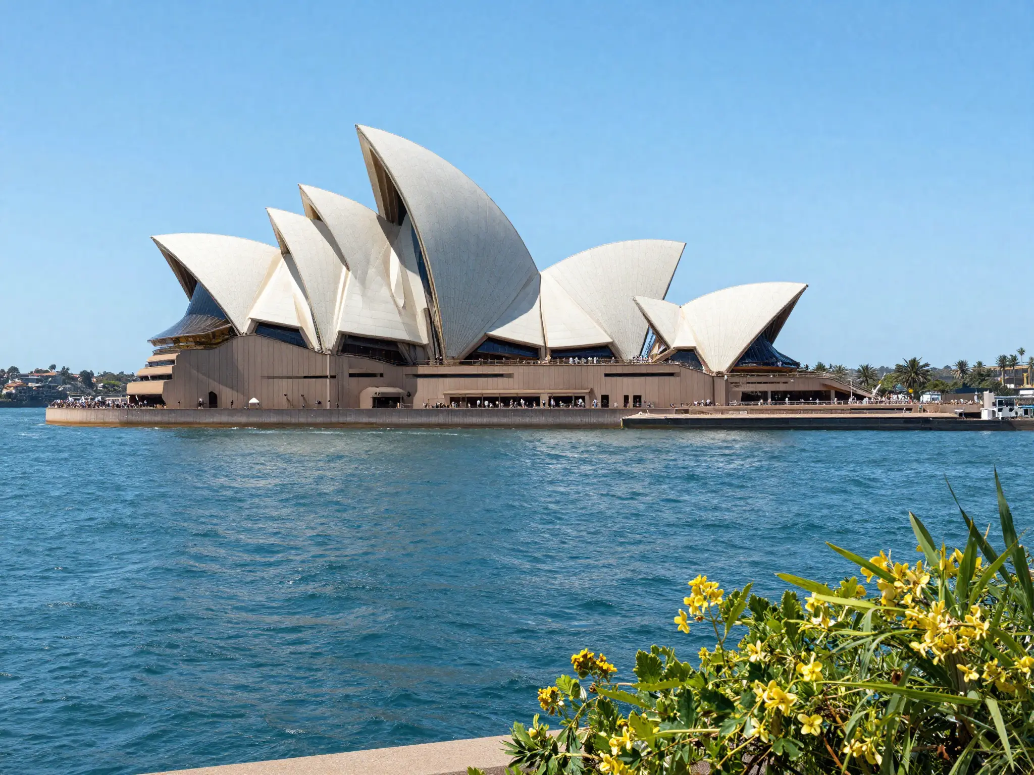 Manage Australia student visas — Sydney Opera House
